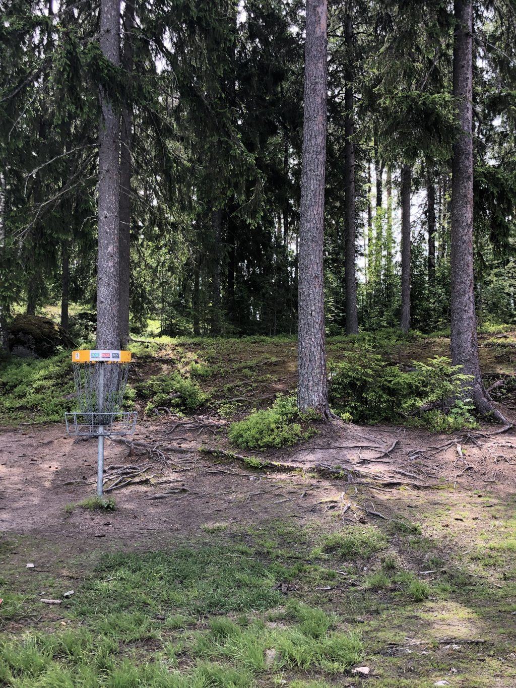 Freisbeegolfkori metsän laidassa.